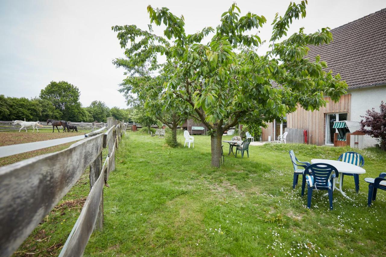 Apartmán Reiterhof Zwei Linden Melle Exteriér fotografie